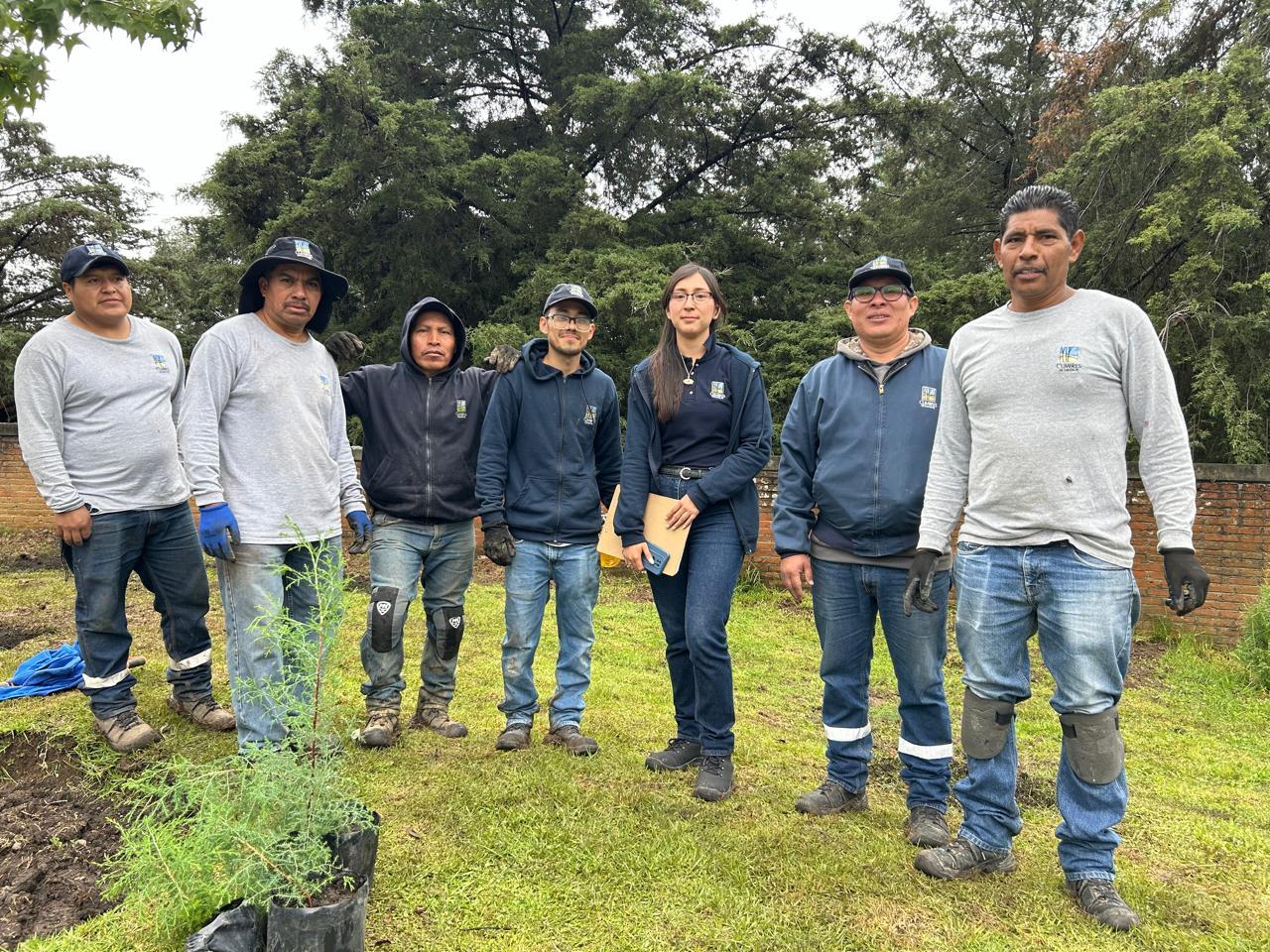 Programa de Reforestación